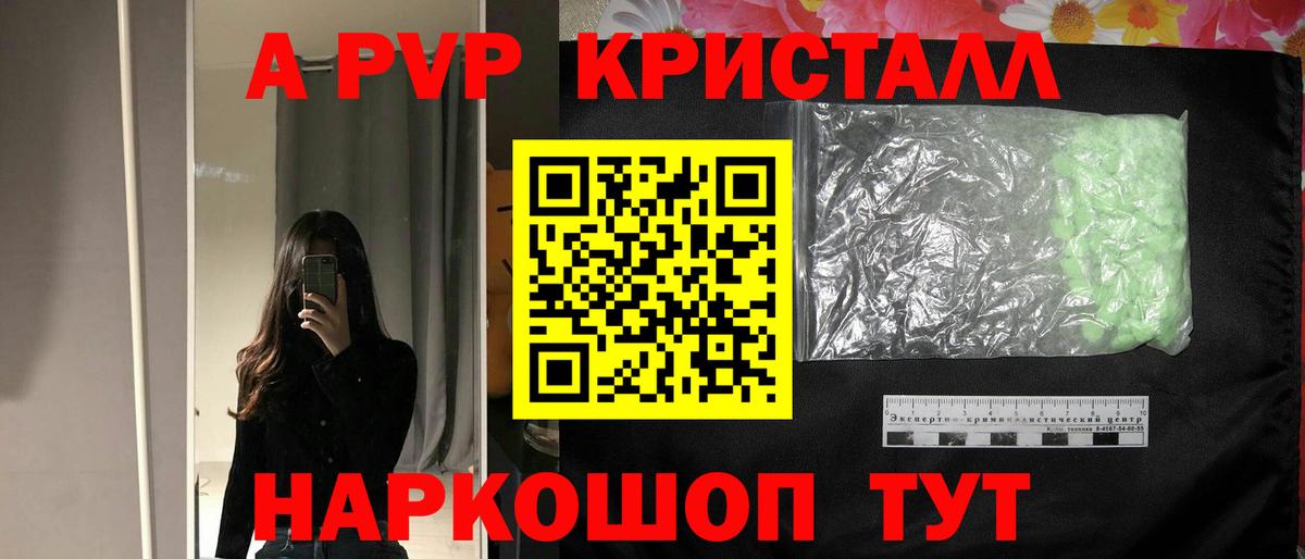 A PVP СК Новозыбков
