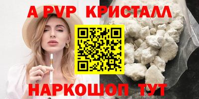 амф Гатчина