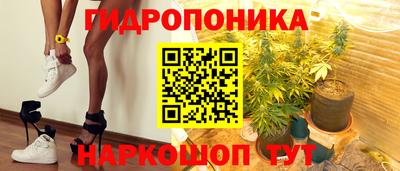 амф Гатчина