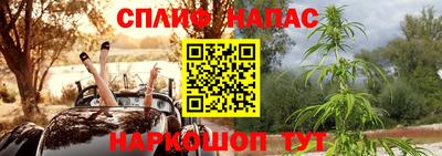 амф Гатчина