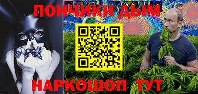 амф Гатчина