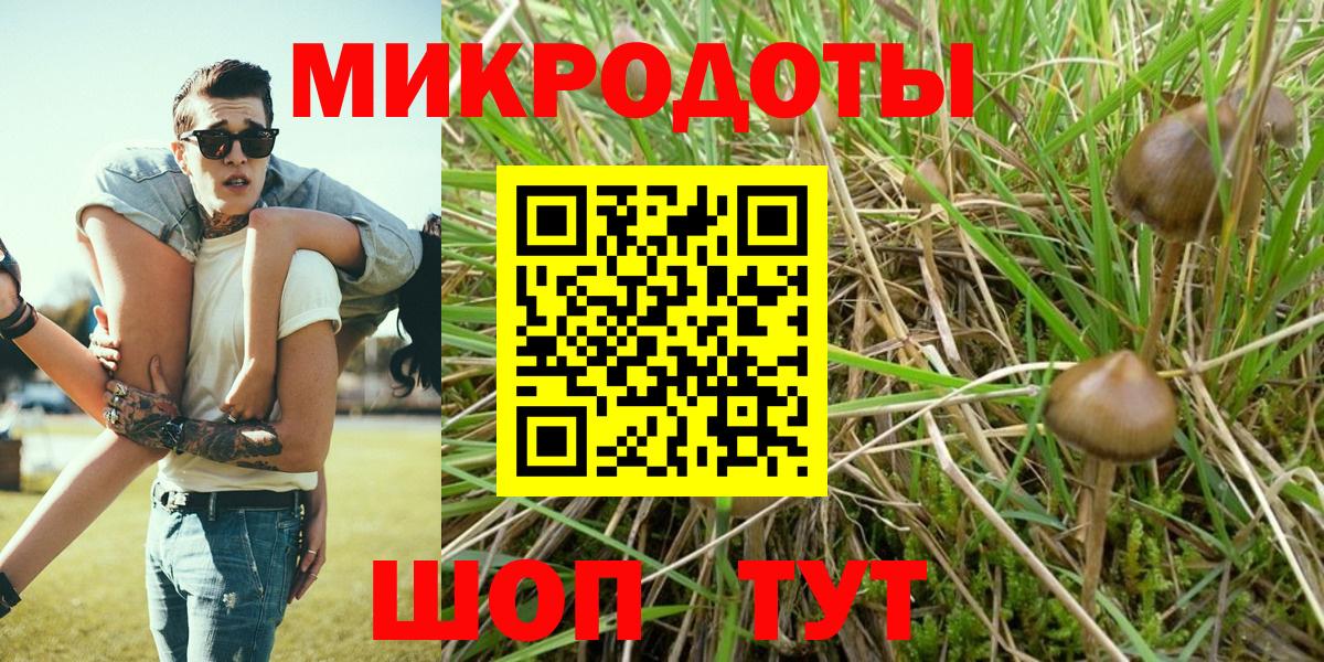 Галлюциногенные грибы ЛСД  Новозыбков 