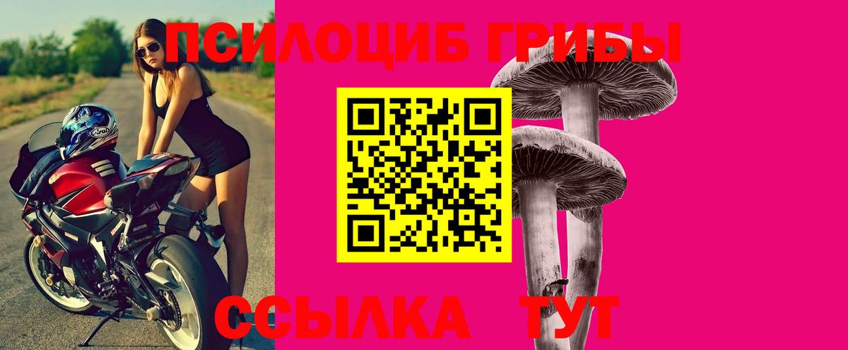 Псилоцибиновые грибы Psilocybine cubensis Новозыбков